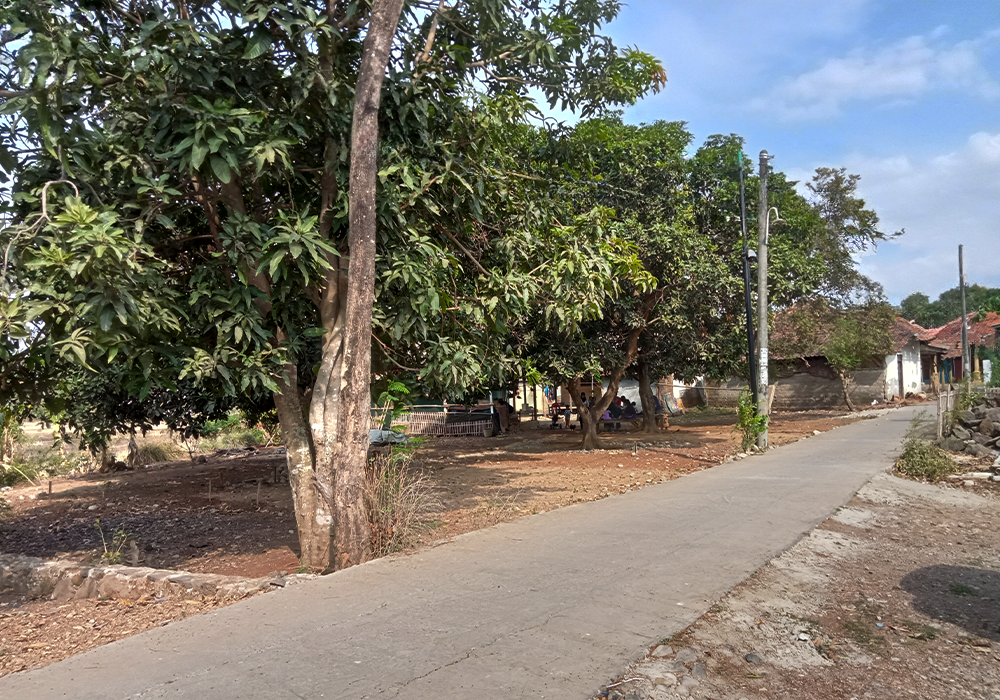RUMAH DI KAB. SUBANG - WOFF595-1 - foto 4